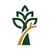 Chico Tree Service